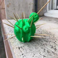 toothpick cactus