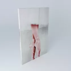 Ballerina feet photo 3D model