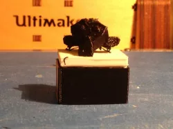 Blender Monkey