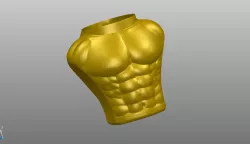 BODY