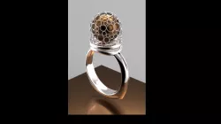 cage ring