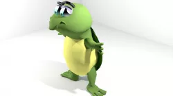 Cartoon Animal Turtle 3D model