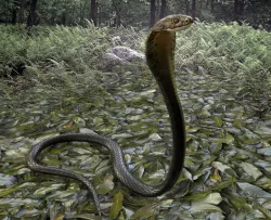 Cobra Rigged  Animated and Textured Low-poly  3D model