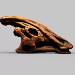 Dinosaur Skull Low-poly  3D model