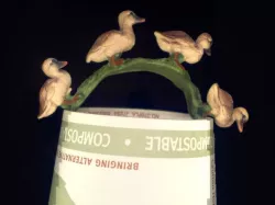 Ducks