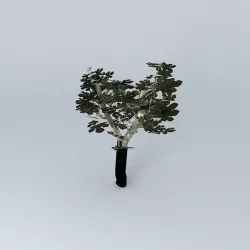 Fig tree 3D model