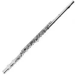 Flute 3D model