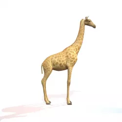 Giraffe Low-poly  3D model