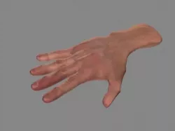 Hand Low-Poly  Low-poly  3D model