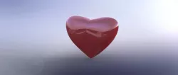 Heart