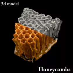 Honeycombs   3D model