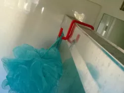Luffa Shower Hook