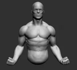 Male Upper Body 3D model