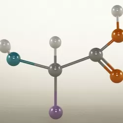 Molecule Amino Acid 3D model