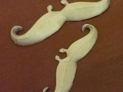 Moustaches are in on movember!