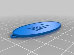 My Customized Oval Keychain mel