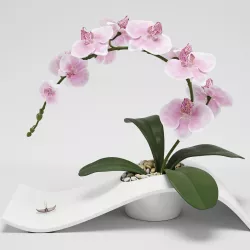 Orchid Arrangement 3D model