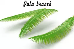 Palm branch 3D model