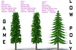 Pine V2 Low-poly  3D model