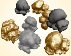Popcorn Kernels 3D model
