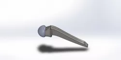 Prosthesis bipolar