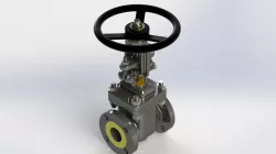 Rising Stem Gate Valve