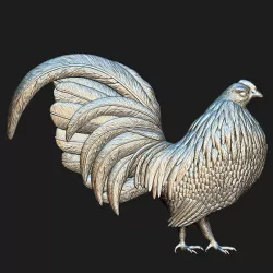 Rooster 3D model