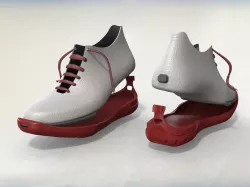 Running Shoe with Interchangeable Soles