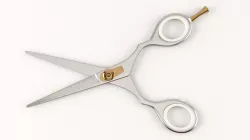 Scissors 3D model