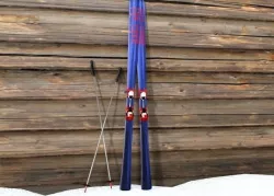 Ski and Ski Pole 3D model