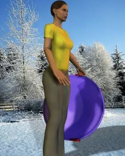 Snow Saucer 3D model