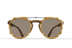 Sunglasses with clipon design 3D model