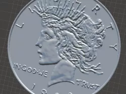 Tdk Two Face Coin