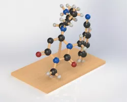 the molecule
