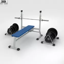 Weight Bench with Weights 3D model