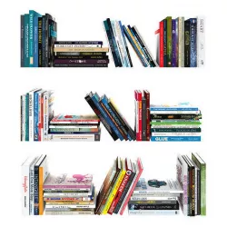 110 different books 1 3D model