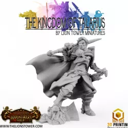 $4.00Kingdom of Talarius - Captain Amara - 32mm Presupported