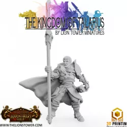 $4.00Kingdom of Talarius - Captain Zahurd- 32mm Presupported Knight