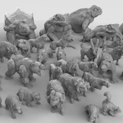 $45.00Animal Bundle