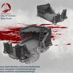 $6.95Dark Realms City of Corsairs - Shop Ruins
