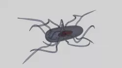 Bacteria 3D model