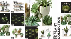  Collection of decorative Leaf Tree Plant Pot Hanging Partition  3D model