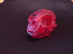 Crane de chat skull cat Low-poly 3D model