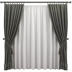 Curtain CS1  3D model