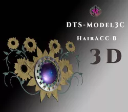 DTS - Model 3C - Hair Acc-B Low-poly 3D model
