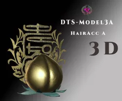 DTS-Model3A-HairAccA Low-poly 3D model