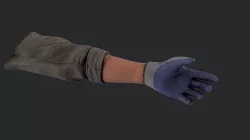 FPS Hands 2 Low-poly 3D model