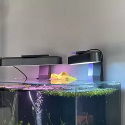 Hue bar light Aquarium mount
