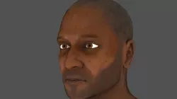 Human body lowpoly model  Low-poly 3D model