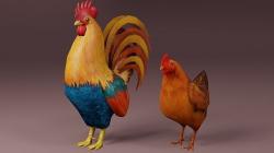 rooster and hen 3d models 【 STLFinder